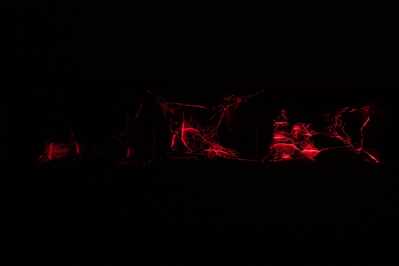 image of red laser spider webs in dark room