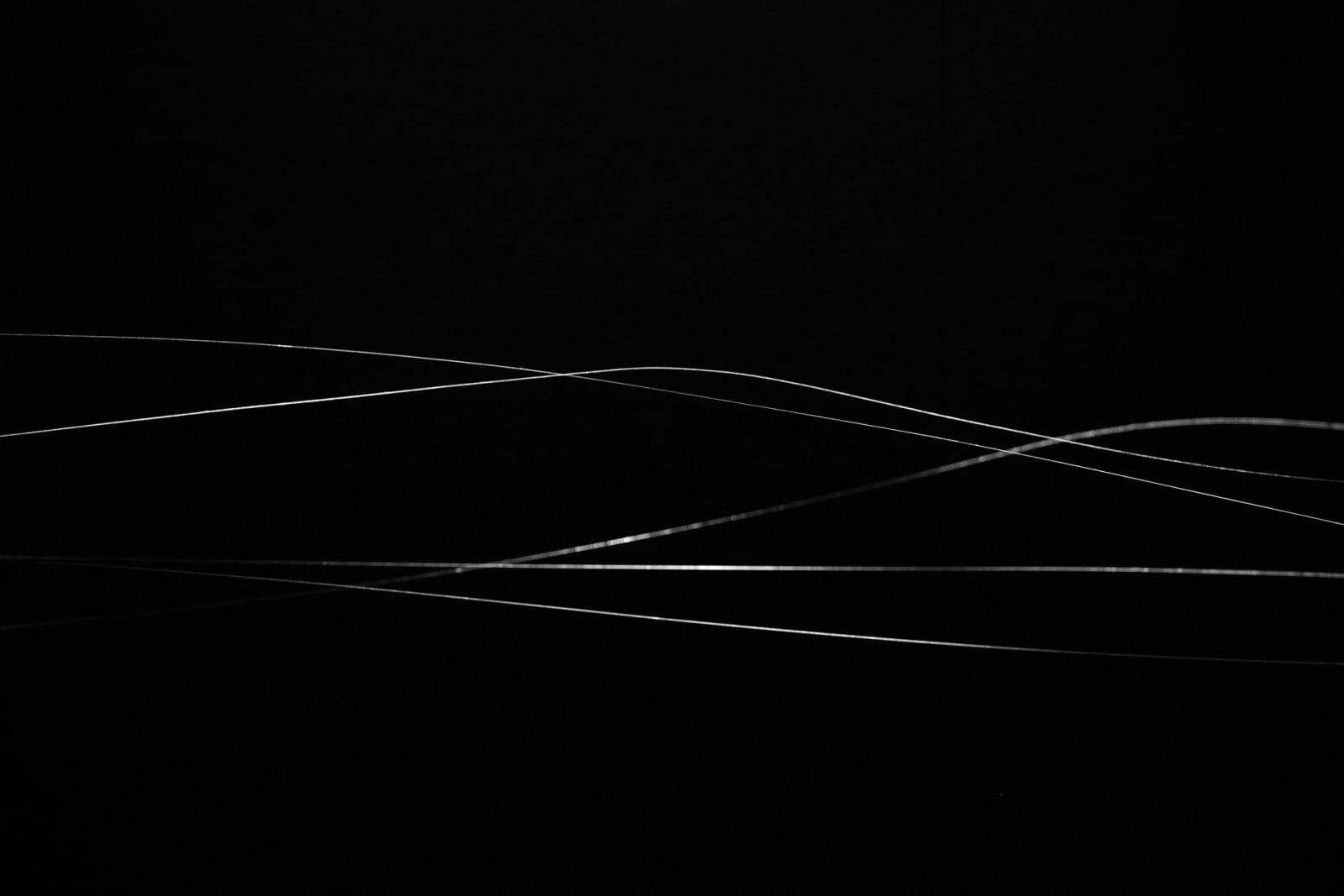 image of spider web
