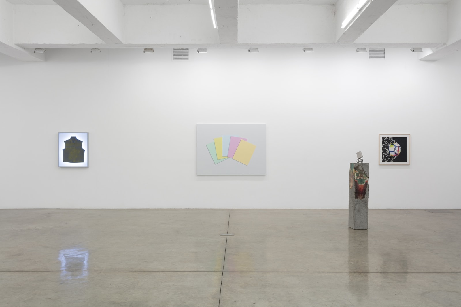 Installation view of Pine Barren.
