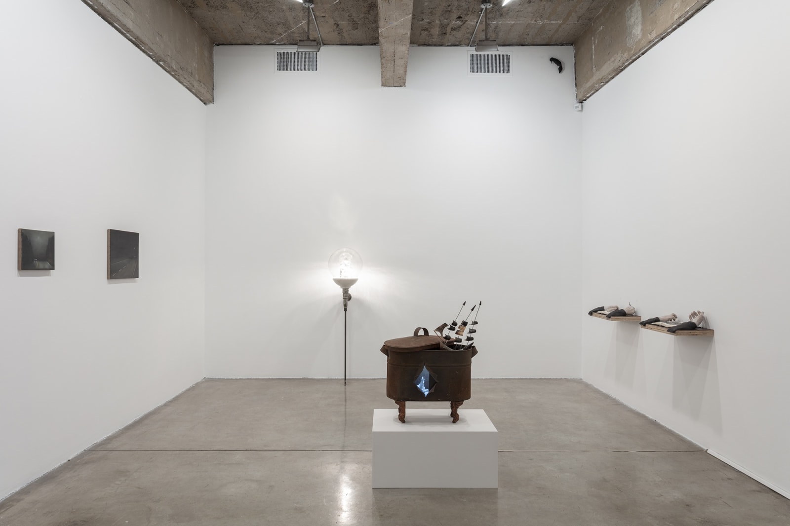 Installation view of Pine Barren.