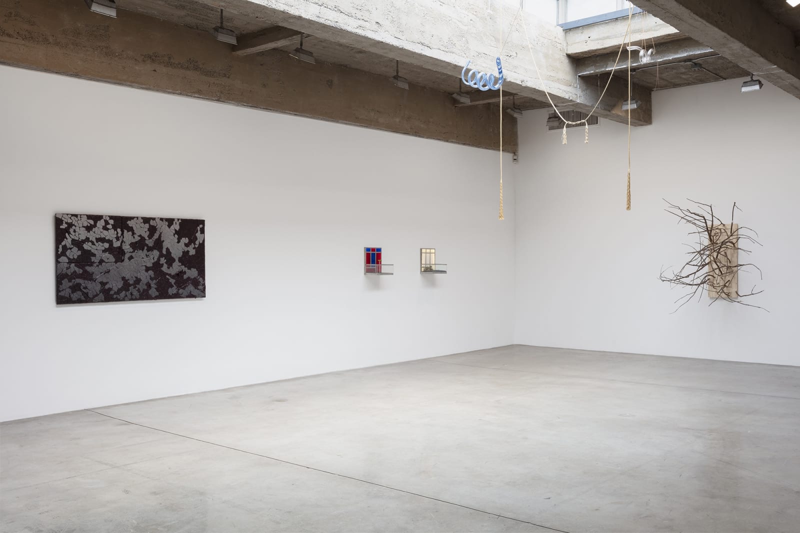 Installation view of Pine Barren.
