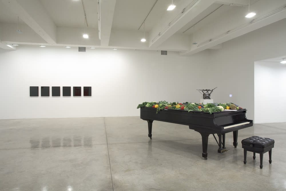 Installation view of AMBIENT.