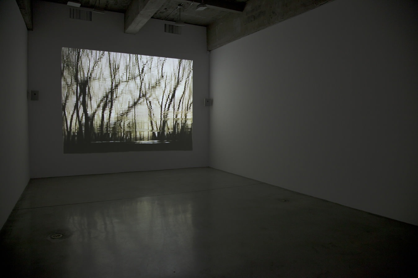 Installation view of Maybe it's the light that has to change and not much else.