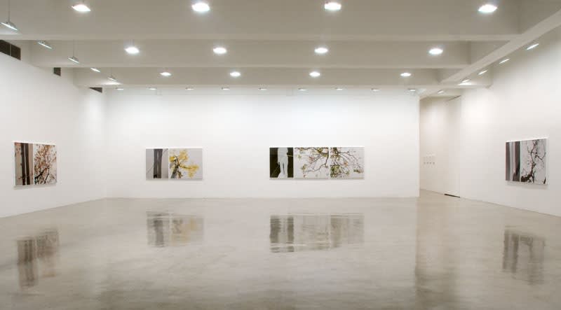 Uta Barth photography series, to walk without a destination at TBG NY