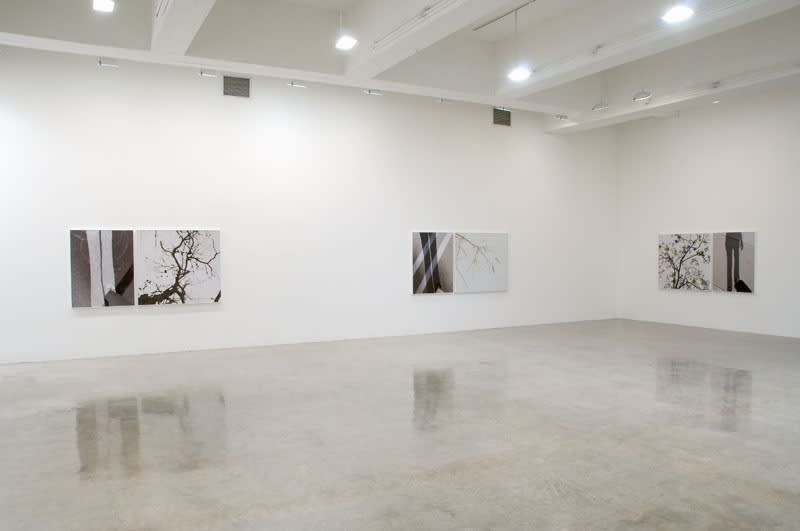 Uta Barth photography series, to walk without a destination at TBG NY
