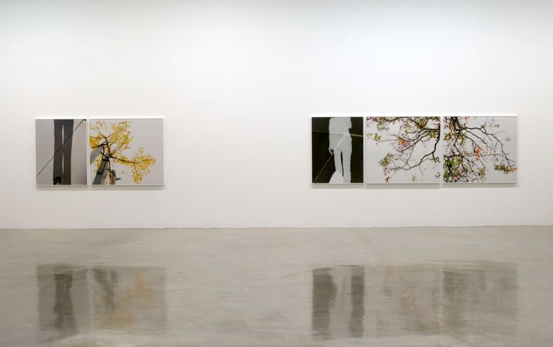 Uta Barth photography series, to walk without a destination at TBG NY