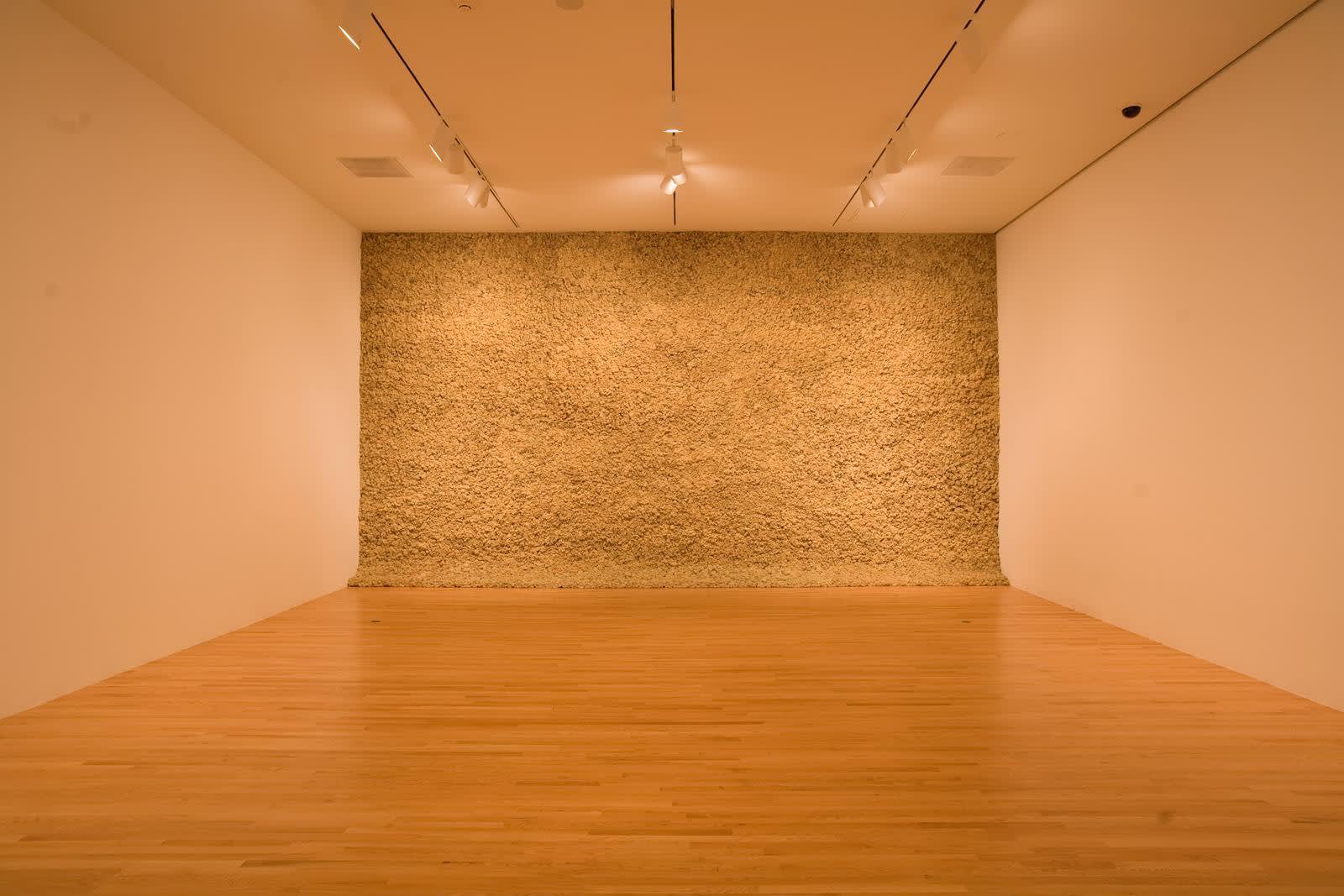 image of moss wall