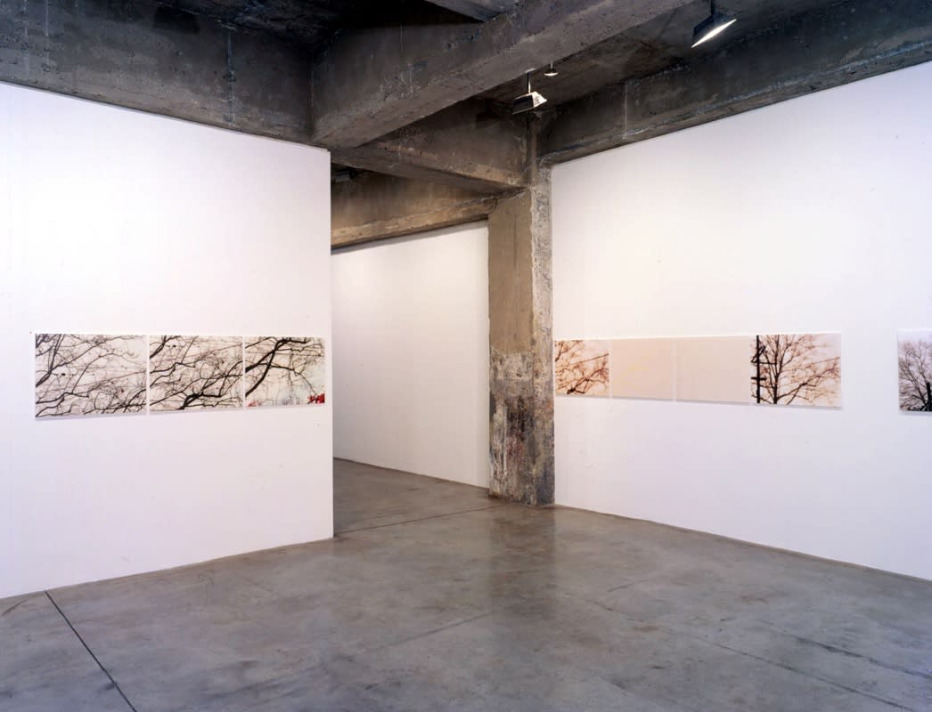Uta Barth, white blind installation view