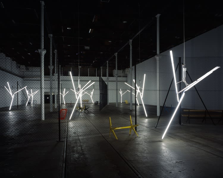 image of Martin Boyce installation at Tramway