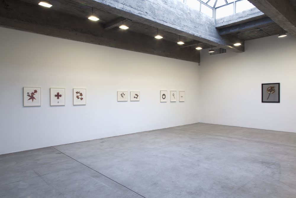 image of Peggy Preheim installation of drawings