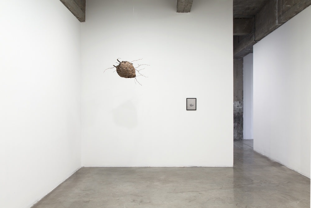 image of Peggy Preheim installation of drawings