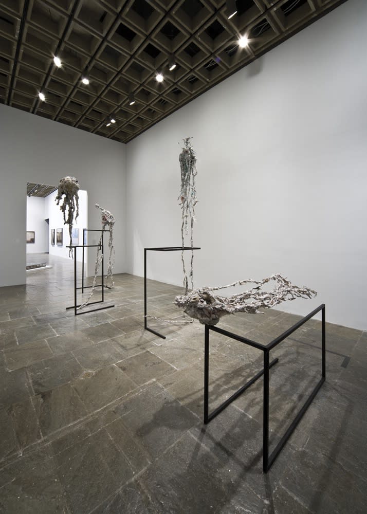image of Long Knowbirds at Whitney Museum