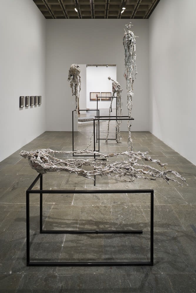 image of Long Knowbirds at Whitney Museum
