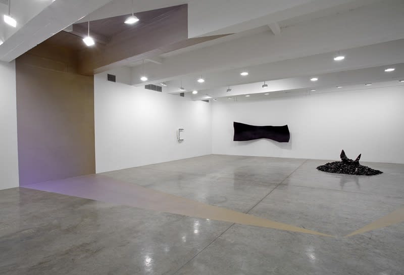 Liz Larner installation image.