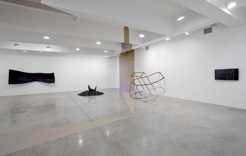 Liz Larner installation image.