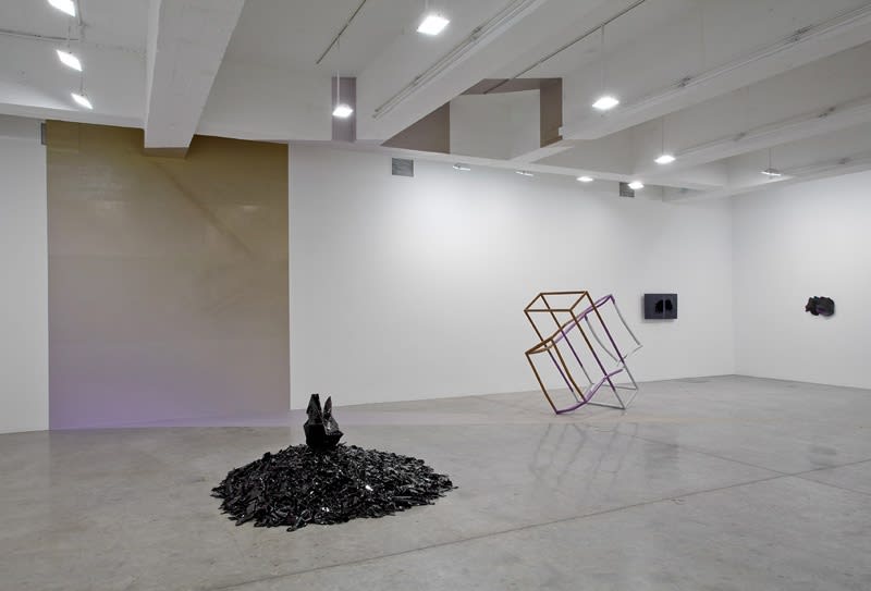 Liz Larner installation image.