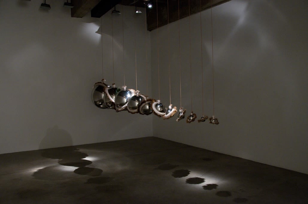 Installation view of Siobhán Hapaska: The Nose that Lost its Dog.
