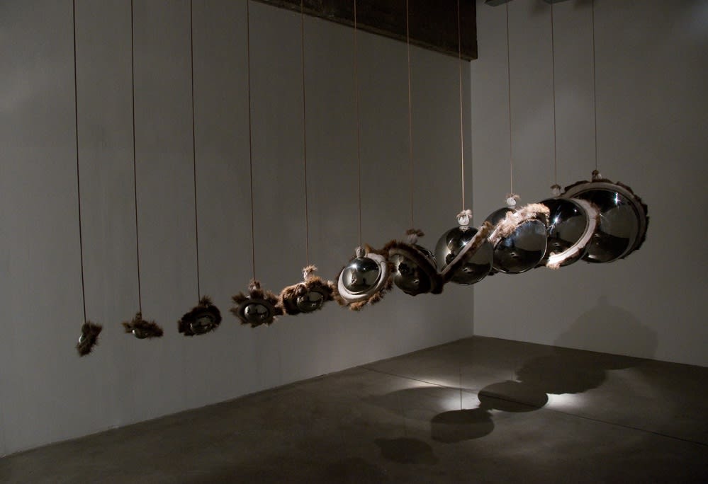 Installation view of Siobhán Hapaska: The Nose that Lost its Dog.
