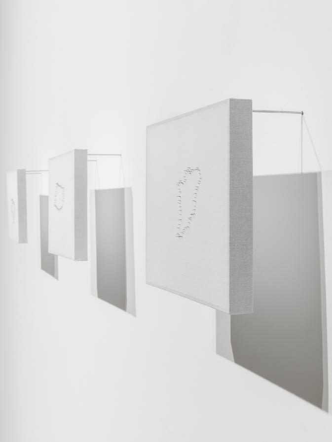 install view of shilpa gupta wall work