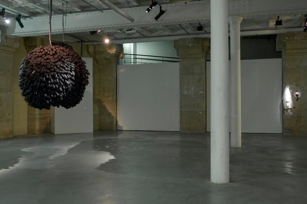 shilpa gupta install at LE LABORATOIRE, PARIS
