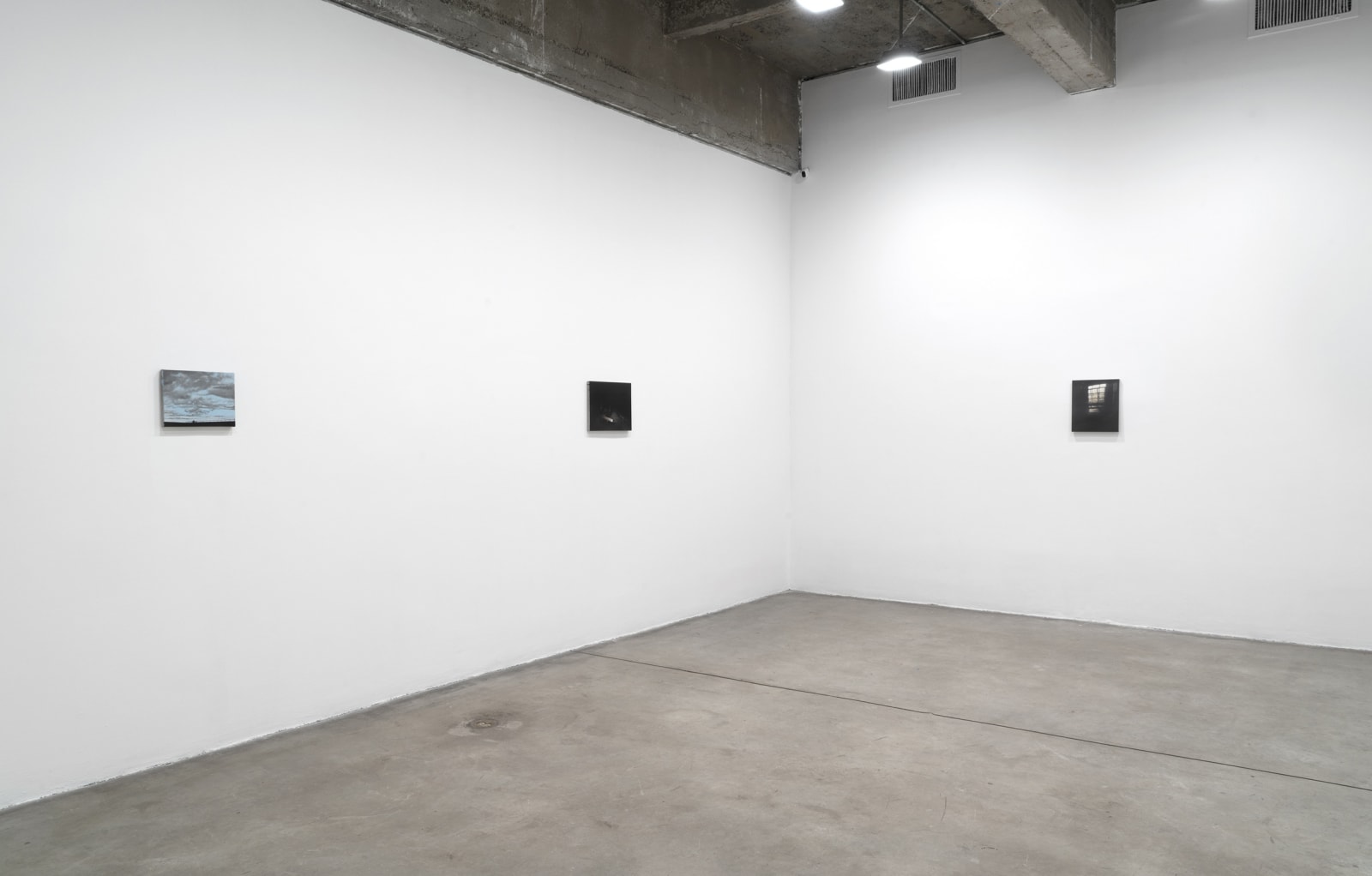 Dana Powell installation view