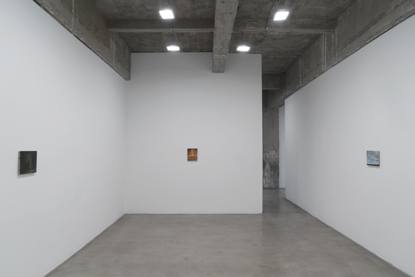 Dana Powell installation view