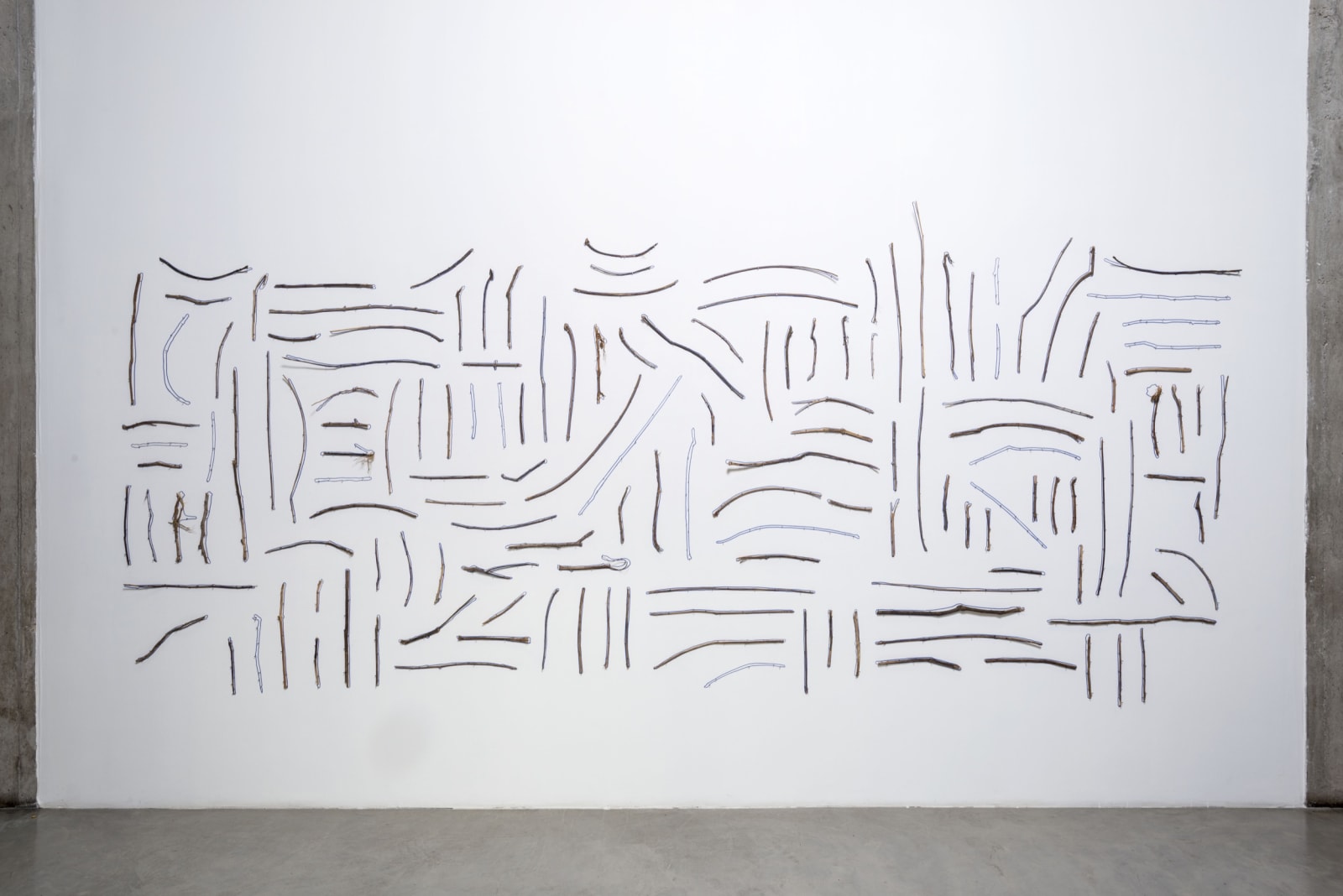 Installation view of Amalia Pica: A un brazo de distancia.