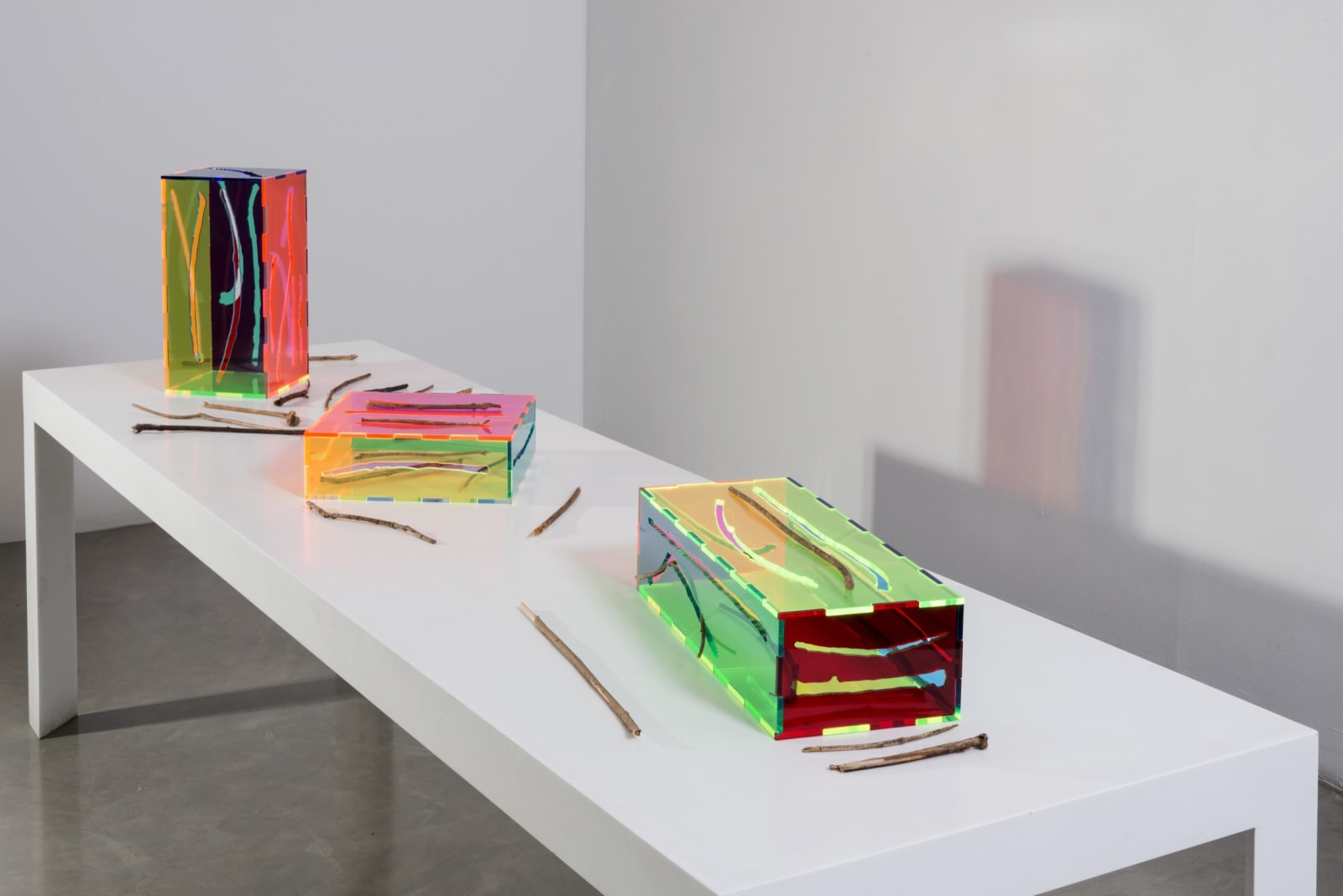 Installation view of Amalia Pica: A un brazo de distancia.