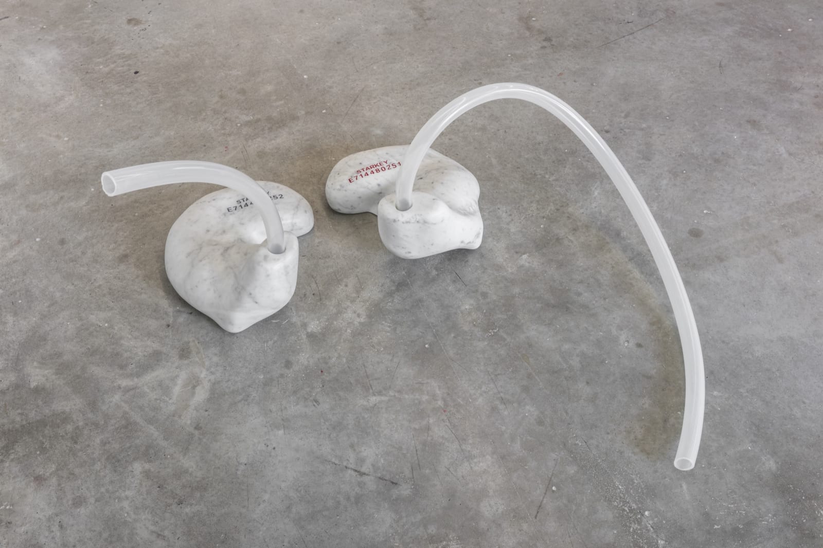 Installation view of Amalia Pica: ears to speak of.