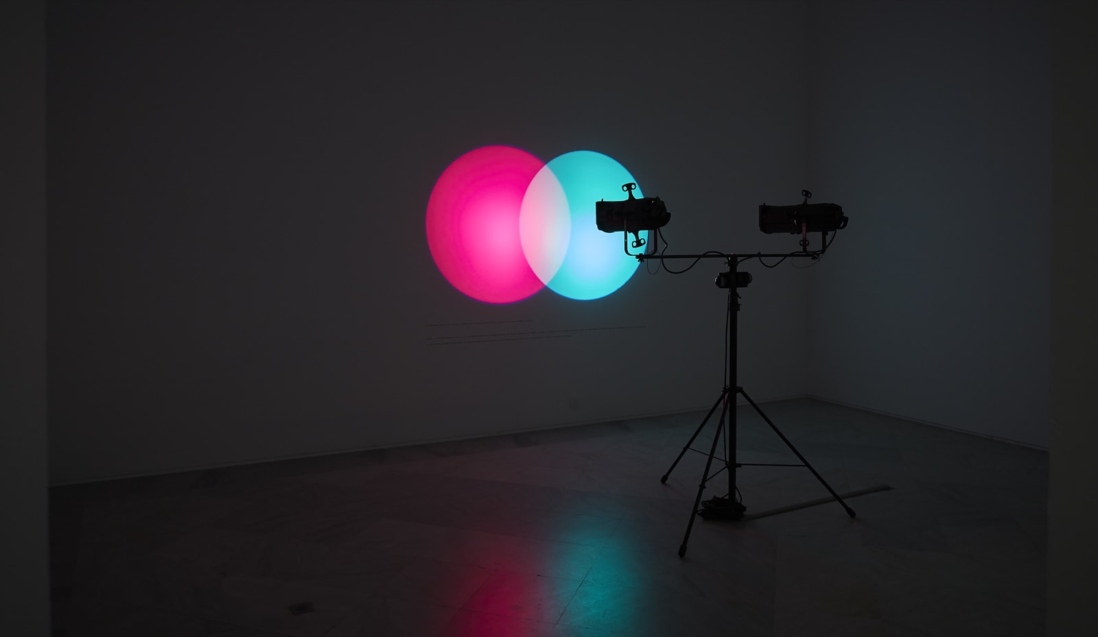 Installation view of Amalia Pica at Centro Andaluz de Arte Contemporáneo, Sevilla, Spain.