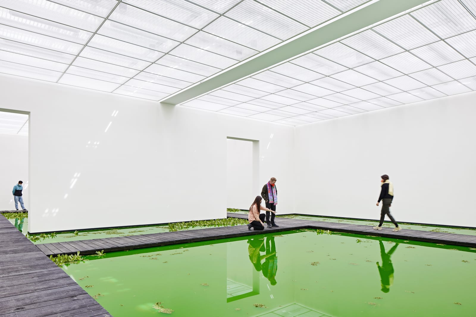 Installation image of Olafur Eliasson's Life.