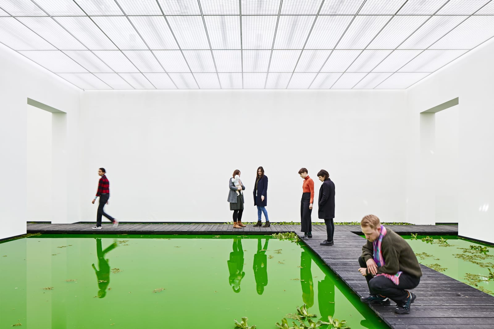 Installation image of Olafur Eliasson's Life.