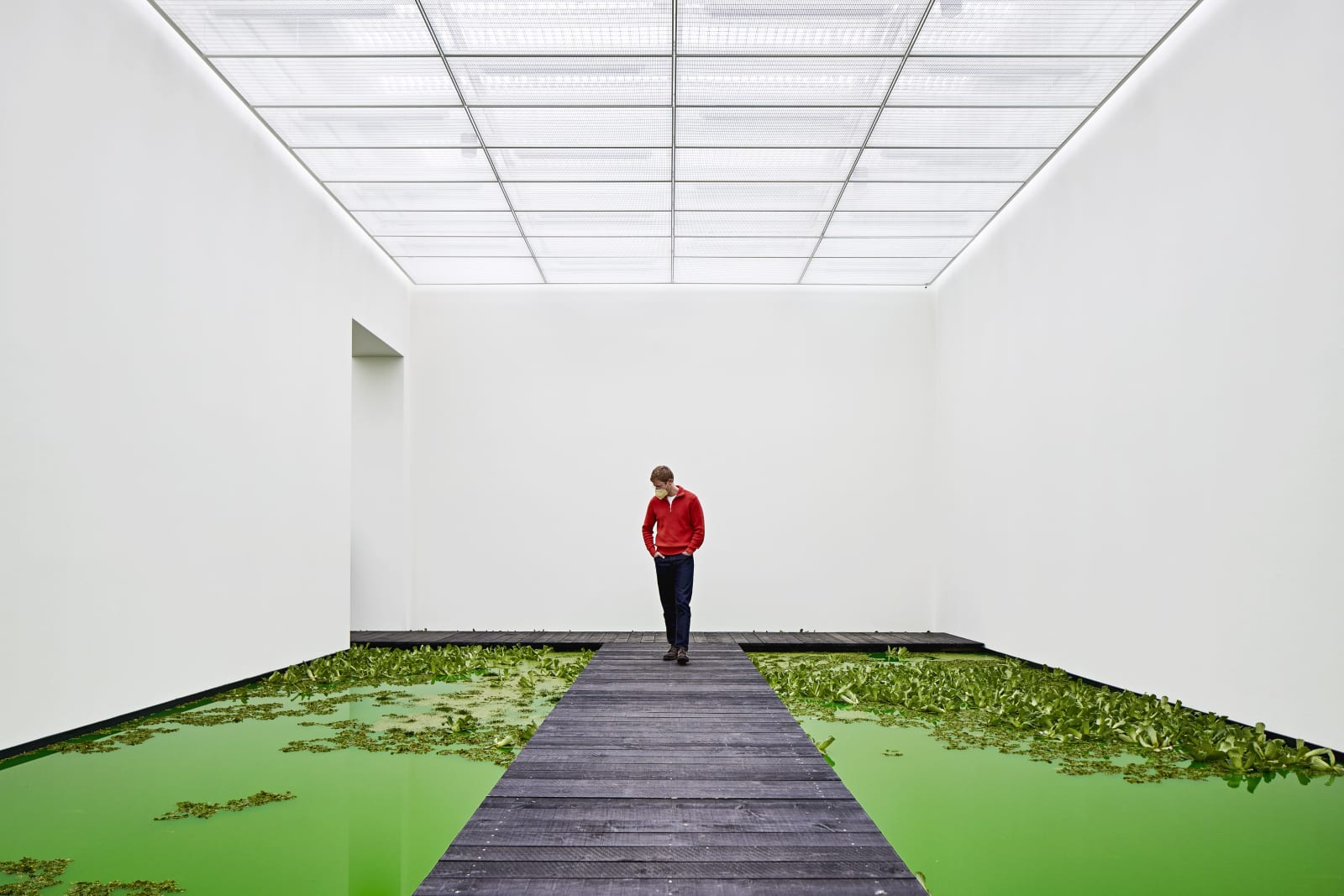 Installation image of Olafur Eliasson's Life.