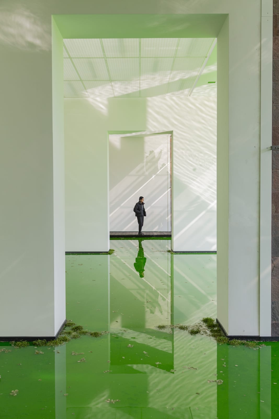 Installation image of Olafur Eliasson's Life.