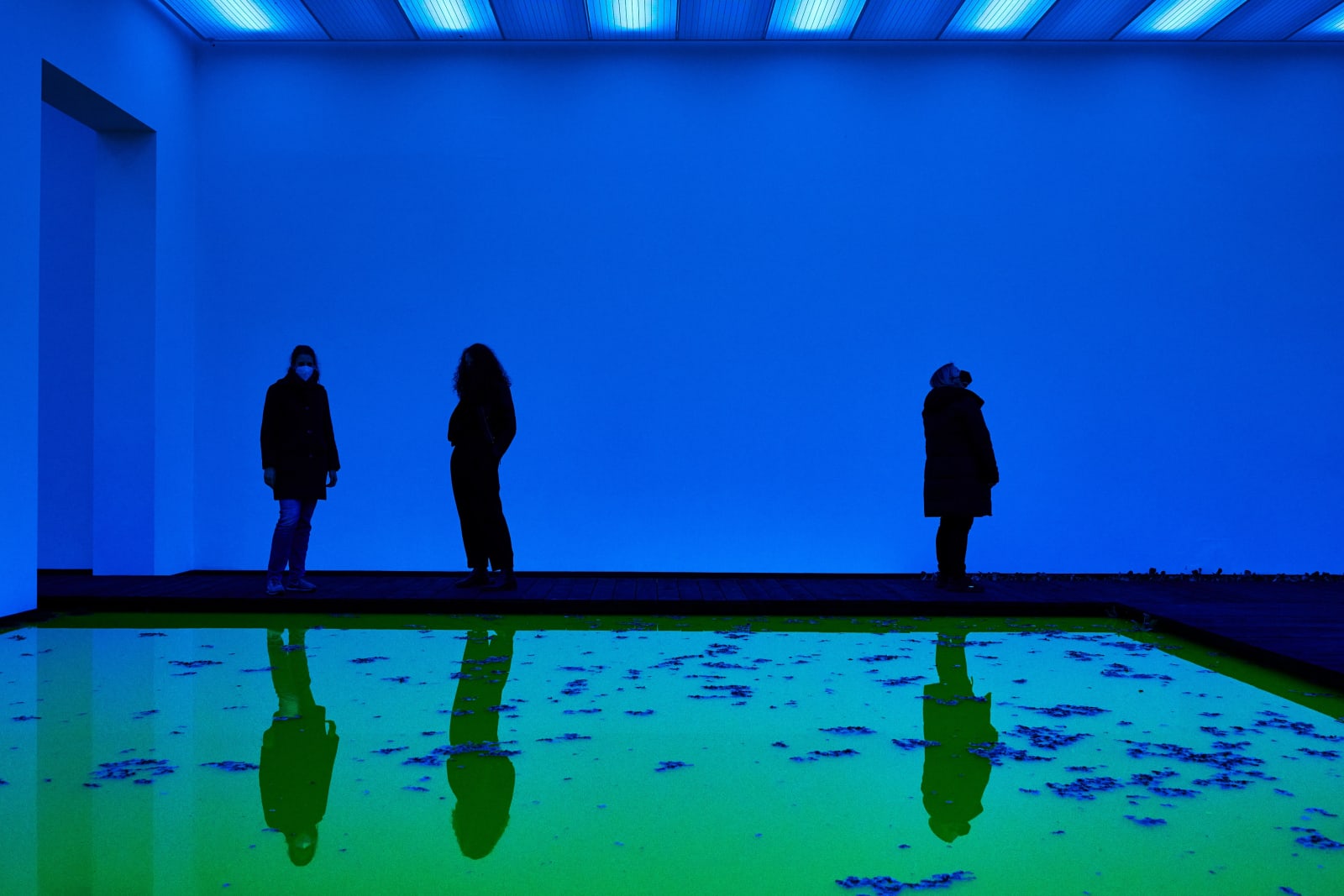 Installation image of Olafur Eliasson's Life.