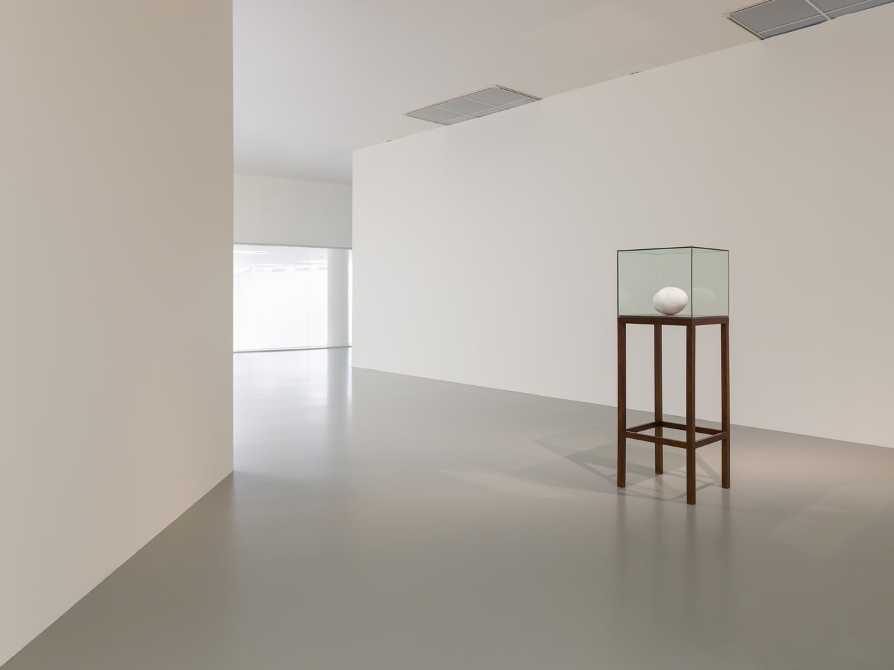 Shilpa Gupta installation image