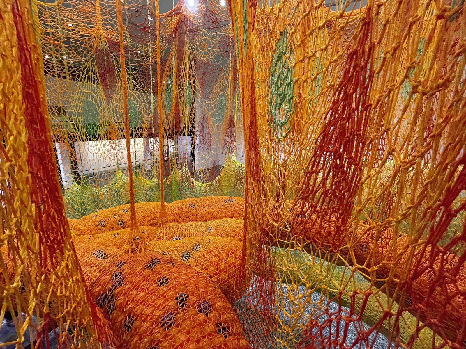 Neto installation image of SunForceOceanLife.