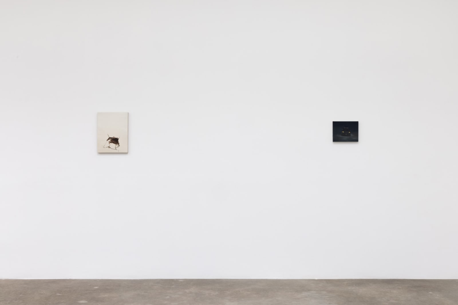 Installation image of Dana Powell.