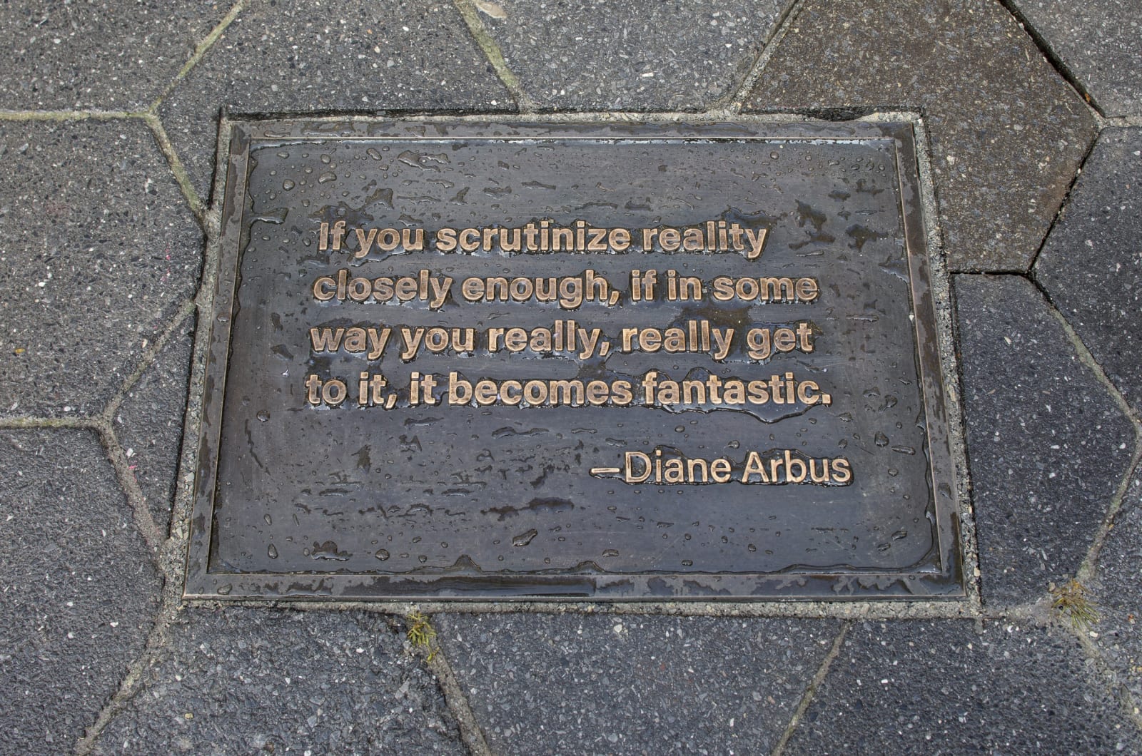 Gillian Wearing: Diane Arbus