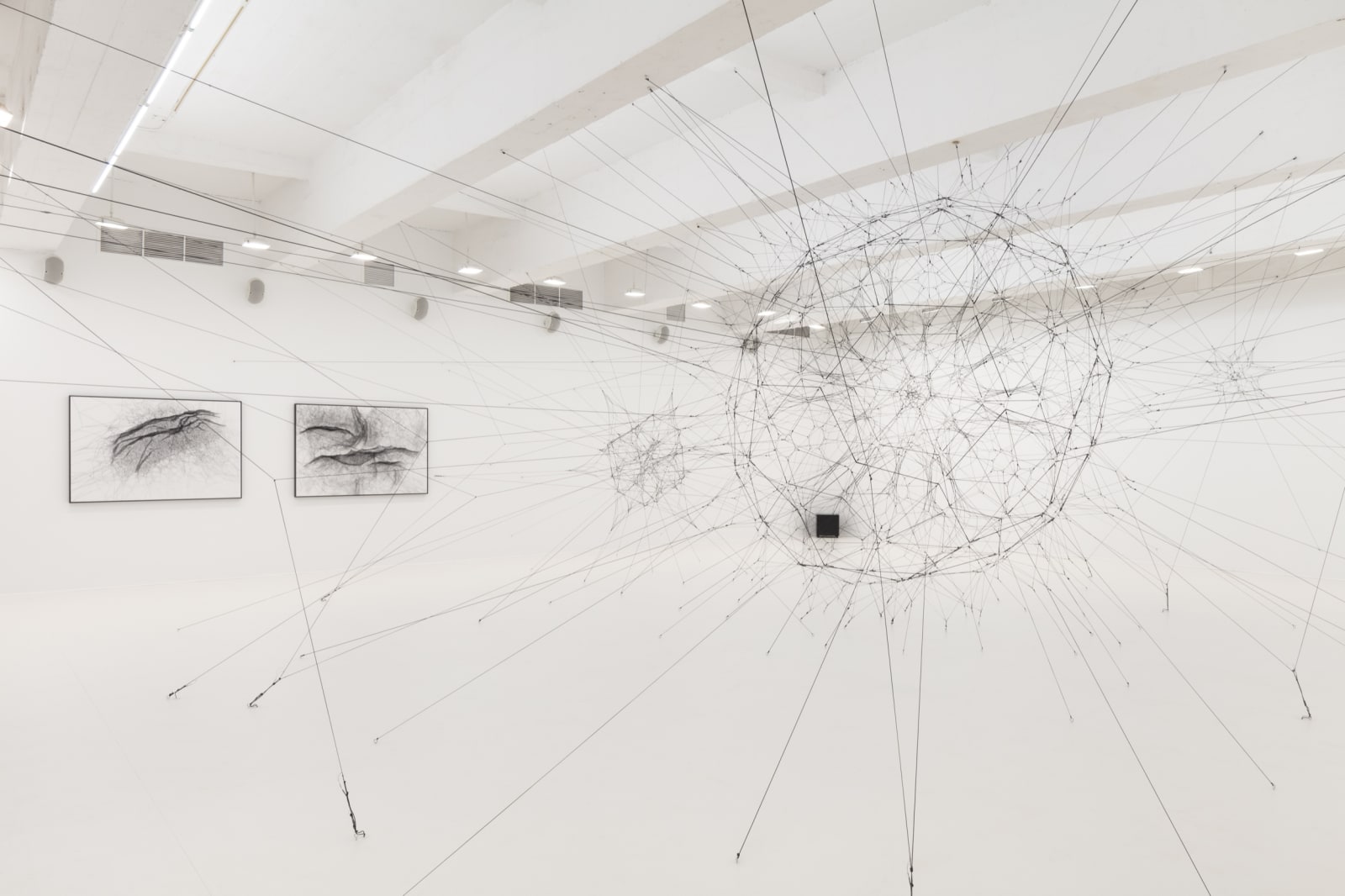 Installation image of Tomas Saraceno Silent Autumn