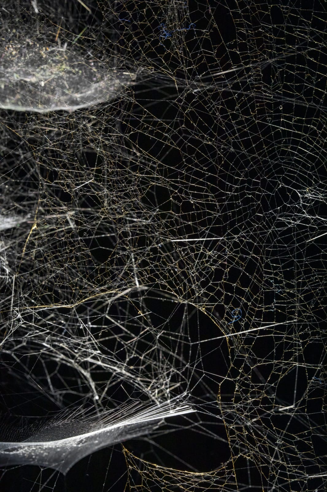 Installation image of Tomás Saraceno: Particular Matter(s)