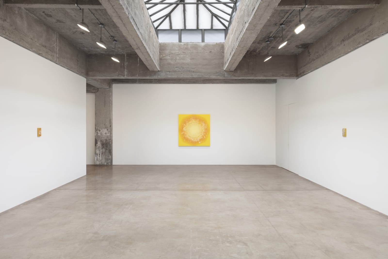 Sandra Cinto installation image