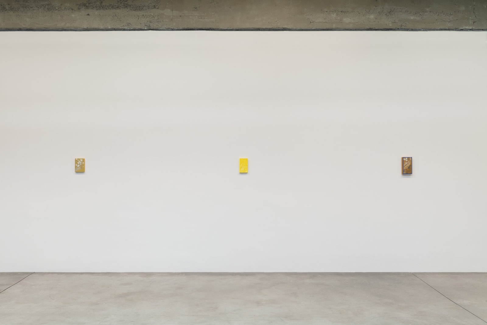 Sandra Cinto installation image