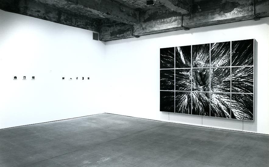 Nature Morte black and white install image