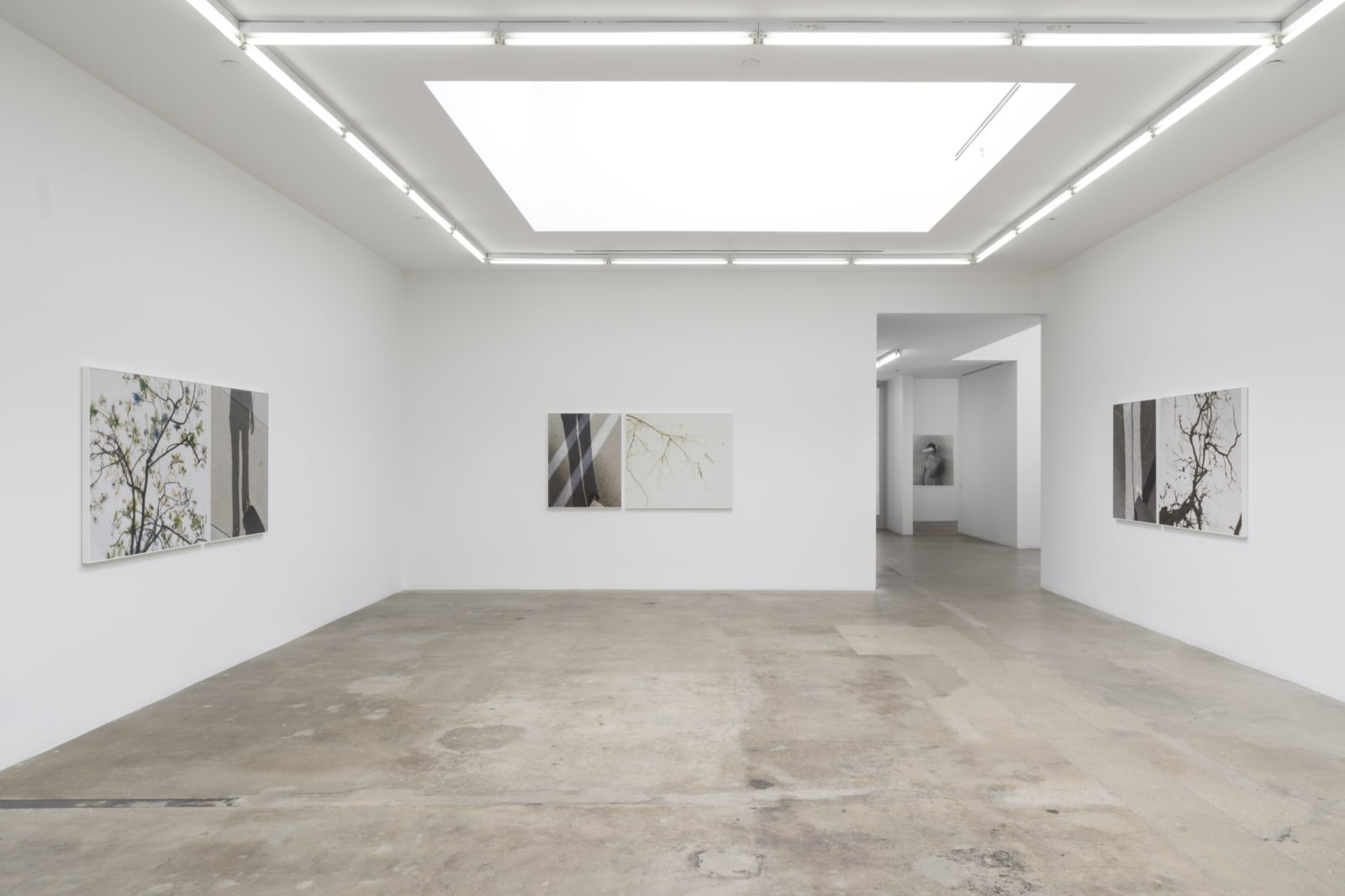 Uta Barth installation image.