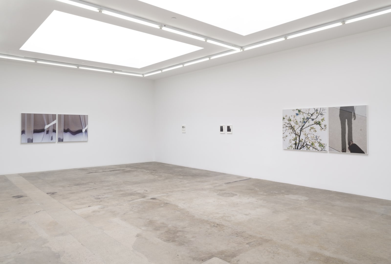 Uta Barth TBG LA exhibition image.
