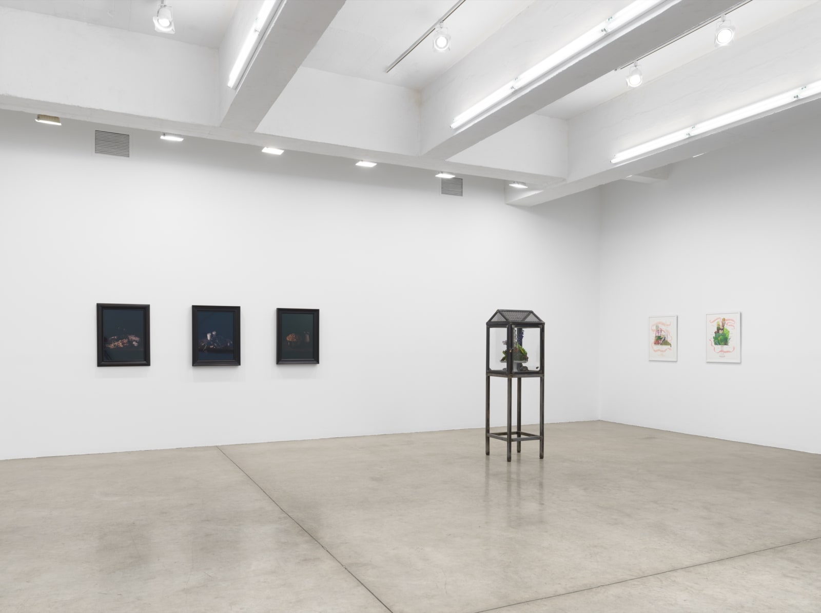 fruiting bodies installation images.