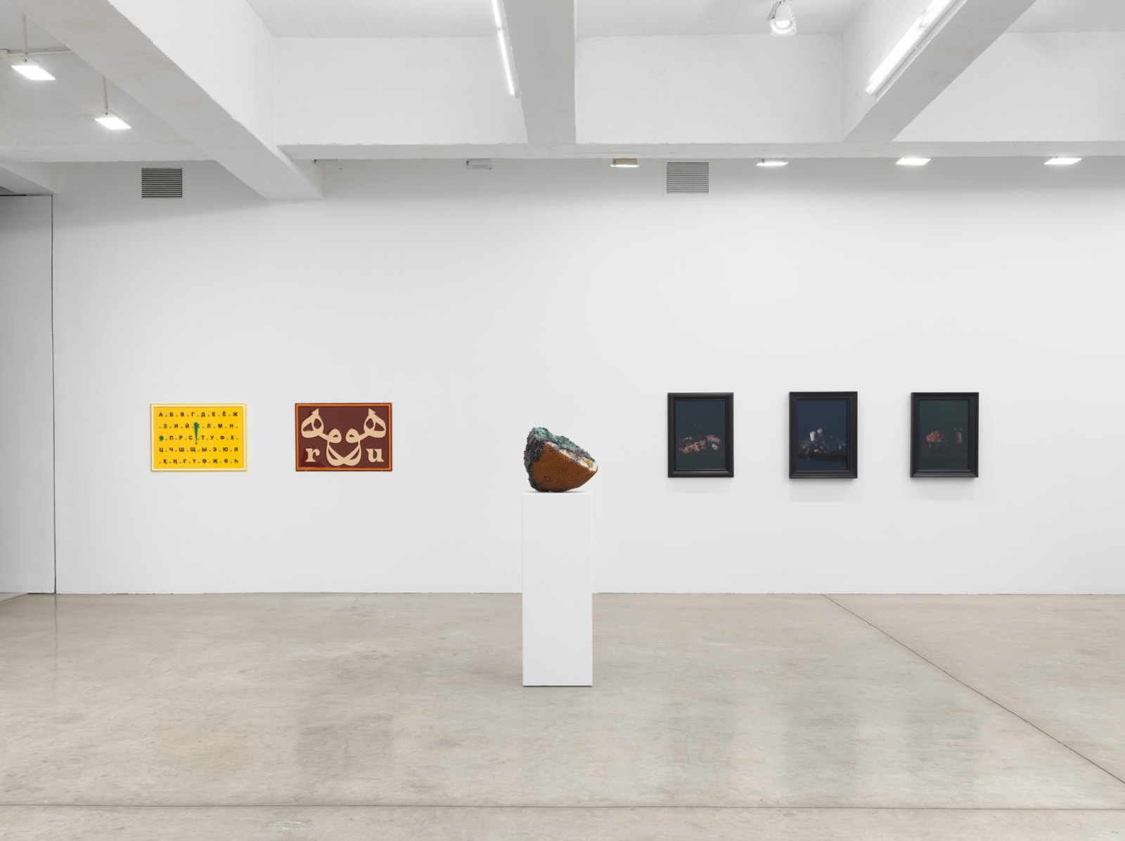 fruiting bodies installation images.