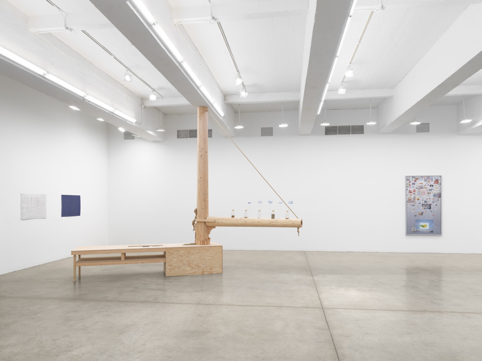 fruiting bodies installation images.