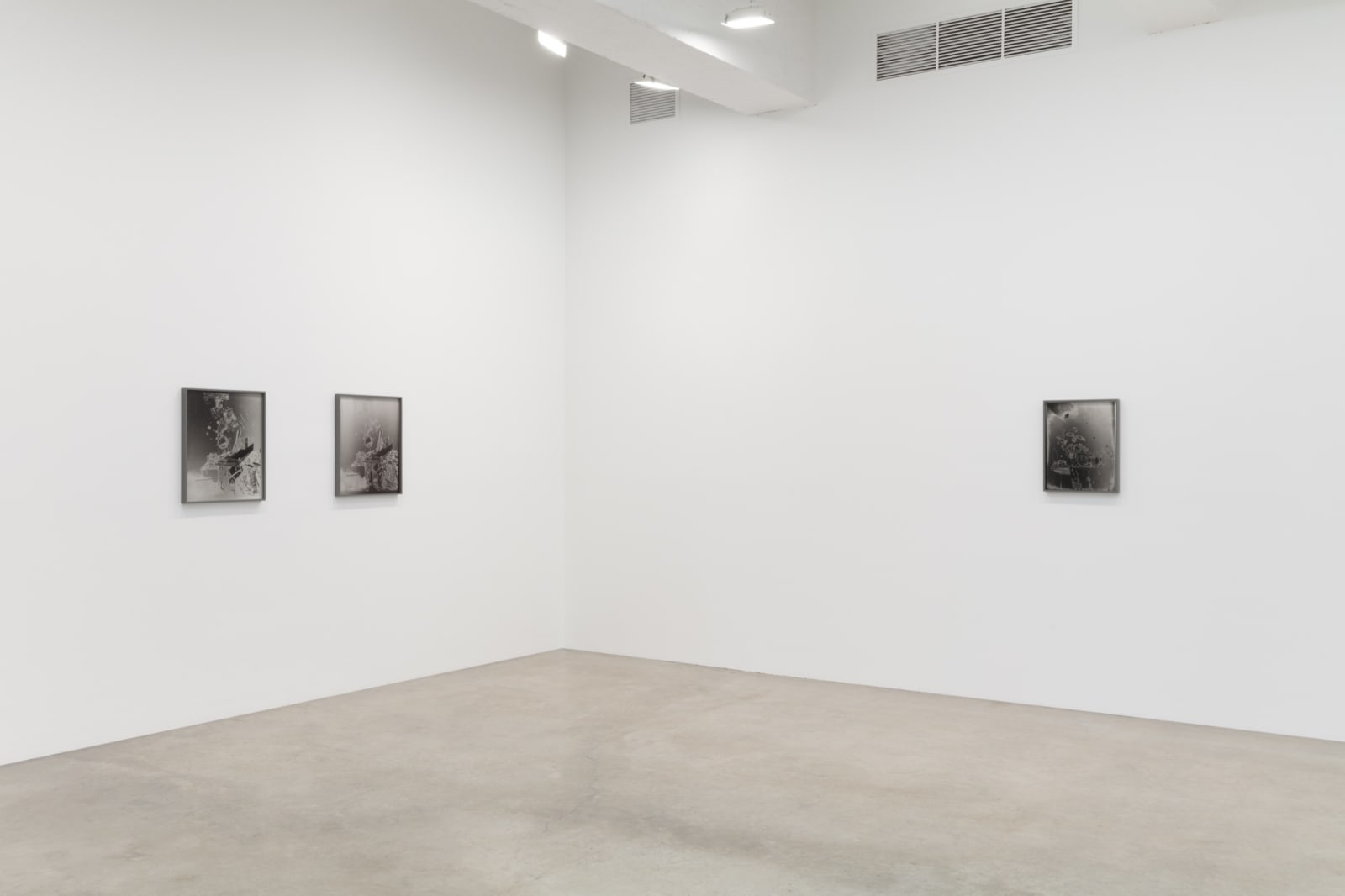 Lisa Oppenheim's installation view.